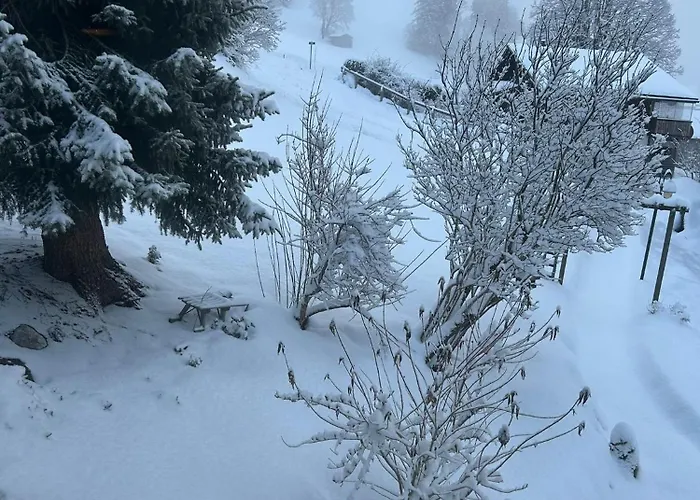 Mon Abri * ביטנברג