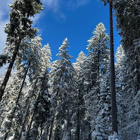 Appartamento Mon Abri *